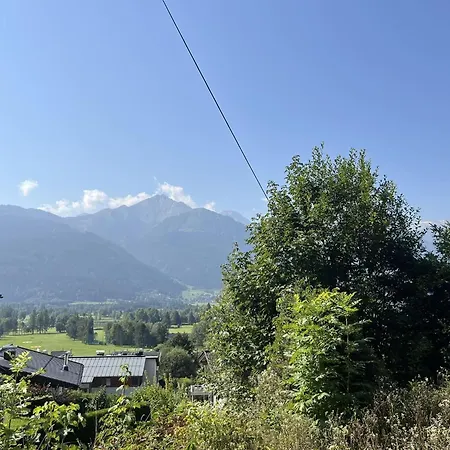 Ivy - Zell Am