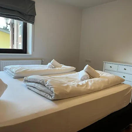 Ivy - Zell Am زيل أم سي