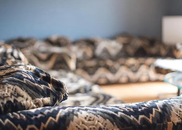 Ivy - Zell Am Apartment